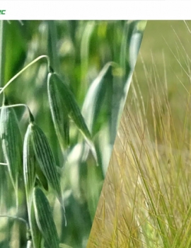 GRANOTEC – Czyszczalnia bębnowo-sitowa